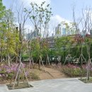 신장둔치 이미지