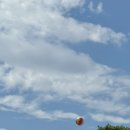 막창막하본점 이미지