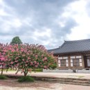 순천만쉼표 이미지