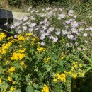 상림농장 이미지