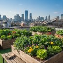 문래동 공동체텃밭 내 | 도시농업관리사 자격증 취득방법.. 시험 과목 및 텃밭 강사 취업 전망