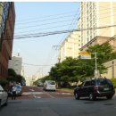 강남-245 이미지