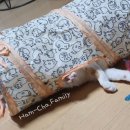 꽁냥이놀이터 이미지