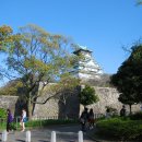 개화(아) 이미지