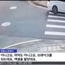 후진 운전미숙으로 가게 박살 이미지