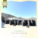 아이케이글로벌 이미지