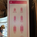 동대구신세계약국 이미지