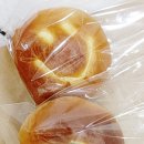 빛나펫살롱 이미지