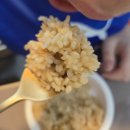 한농유기농 건강체험마을 | 오트현미한끼 후기｜보배마을 유기농 즉석밥, 식감 살아있는 건강한 식사대용