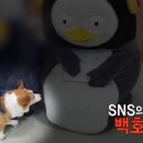 수상한누나네