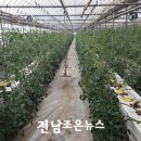 화수목경로당 이미지