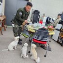 삼육상사 이미지