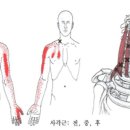 마디들 이미지