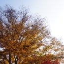 레인보우영동연수원_토론실 | 2018 대한무에타이협회 지도자 교육 및 심판 교육 참가 후기 / 레인보우영동연수원