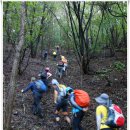 브니엘농장 | [20100912]양평희망볼랫길 2코스 용문산 구간에서 길을 찾아 헤매다 - 5부