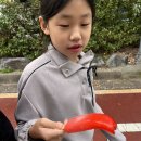 지에스25 수원조원원룸점 | GS CU 편의점 신상 아이스크림 프로즌 포도 소르베 메롱바 딸기맛 까먹는 바나나 리뷰