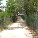 홍릉초교 이미지