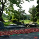 다도박물관 이미지