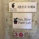 [10/25]가드닝 클래스 | [부산식물가게] 쏘슬로우플랜트랩 : 부산가드닝클래스 🪴