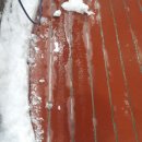 동백워시존 이미지