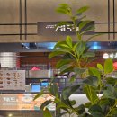 계도국수 | [다산맛집] 다산 현대프리미엄아울렛 맛집 계도 - 라멘, 닭구이커리