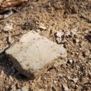 강화중성 이미지