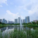 세병공원(물놀이터) 이미지