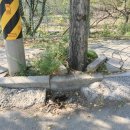 무역로459번길 이미지