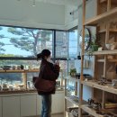 톤앤미퍼스널컬러 | 산 골격진단 톤앤미 퍼스널컬러 스타일링 추천 후기