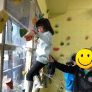 용인대 태기 합기도 이미지