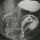 재미국시 이미지