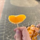 착한농수산 | 제주 동문시장 과일 택배 친절한 진미농수산 재방문 후기, 가을향 홍매향 맛집