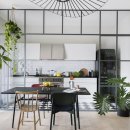 식물 인테리어 이미지