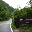 덕유산 자연휴양림