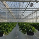 지와이팜 이미지