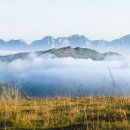 WHAT’S NEXT? 이미지