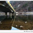 새들민박 이미지