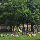 평화다나약국 이미지