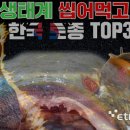 ■ 해외 생태계를 마구 씹어 먹고 있는 한국 토종 TOP 3 이미지