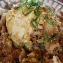 용수리 | [제주 제주시 한경면 용수리 맛집] 재미제주