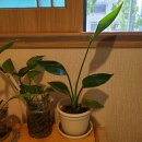 하람한의원 이미지