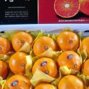 정해농장 이미지