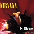 Nirvana-In Bloom (1991) / 415 이미지