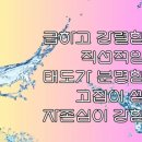 명리학 | 과거와 현재를 통해 미래를 준비하는 비승 명리학 사주팔자 상담 후기