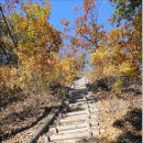 영동 주행봉(874m),백화산(933m) 14.10.25 이미지