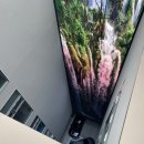 낙원게임장 이미지