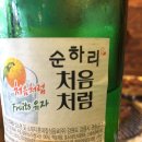 갈매기 참숯파티 이미지