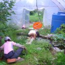 은지농장 이미지