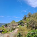 신기경로당(신원면) 네이버블로그
