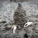 무안황토갯벌랜드 전시실 이미지